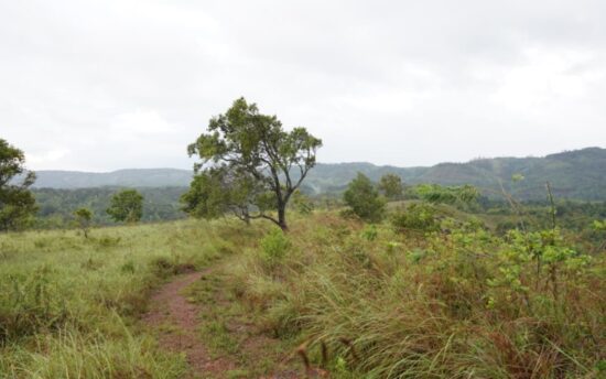COMMERCIAL LAND - 26.5 ACRES - SRI LANKA - SOLD!